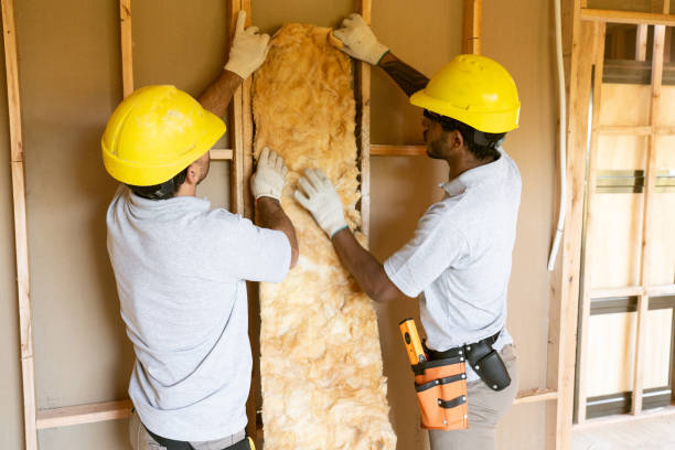 Professional Insulation Services in Hudsonville, MI